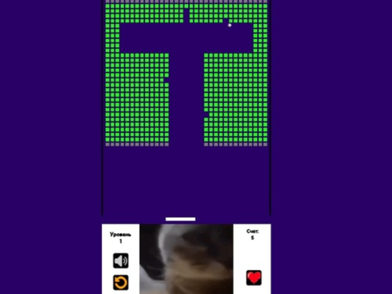 Oyunu Tuğla Kırıcı Chipi Chipi Chapa Chapa Kedi  çevrimiçi