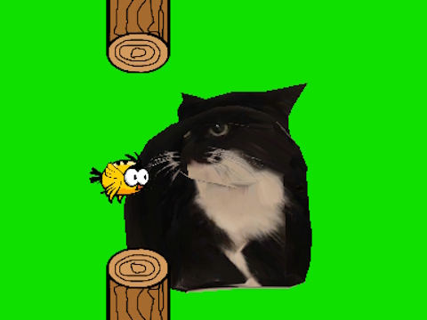 Oyunu Flappy kuş eğirme oia oia kedi  çevrimiçi
