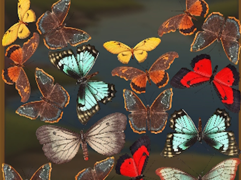 Oyunu Mergebuterfly: 2048! çevrimiçi