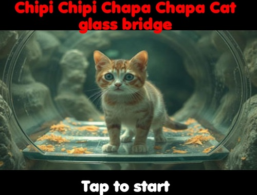 Oyunu Chipi Chipi Chapa Chapa Cat Cam Köprüsü  çevrimiçi