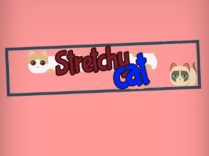 Oyunu Esnek kedi  çevrimiçi