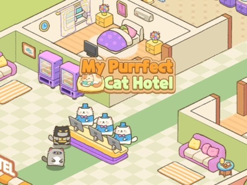 Oyunu Benim Purrfect Cat Hotel çevrimiçi