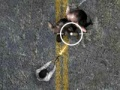 Oyunu Undead Highway çevrimiçi