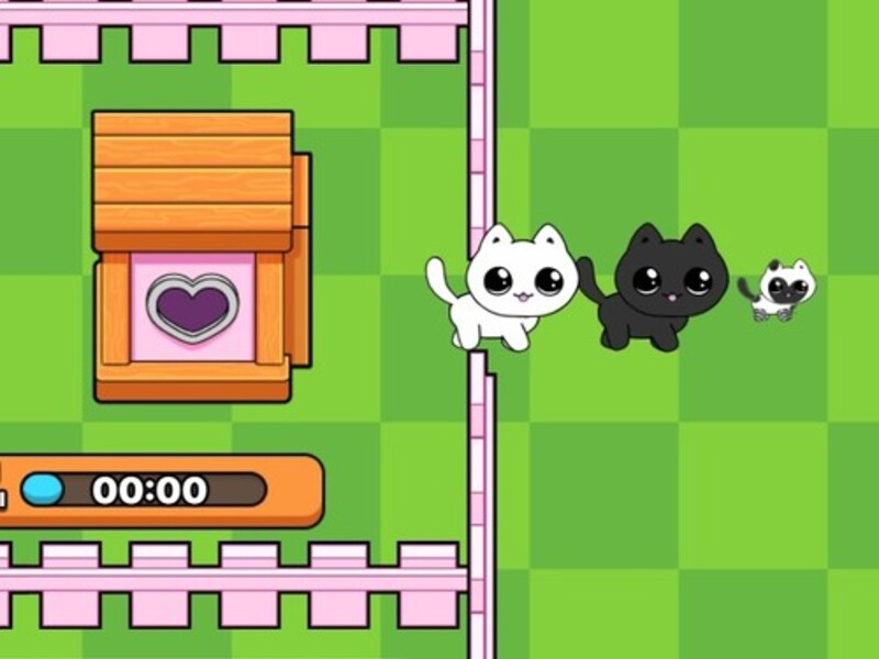 Oyunu Benim kediciklerim. Kedi dünyası çevrimiçi