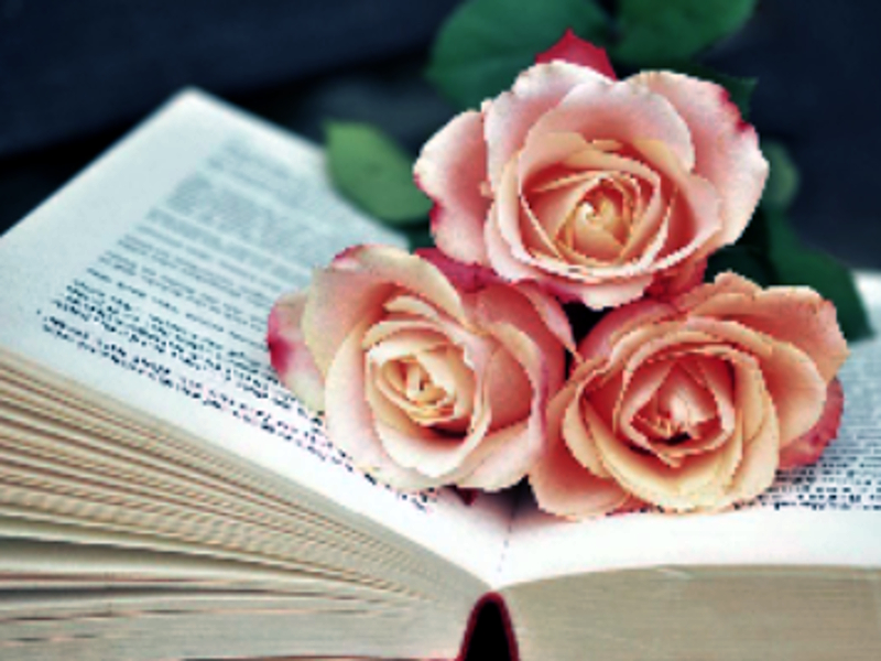 Oyunu Blooms Jigsaw Kitabı çevrimiçi