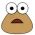 Pou çevrimiçi